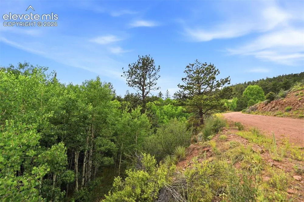 1310 Park Ridge Drive Guffey, CO 80820