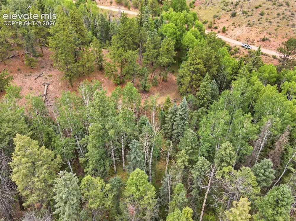 1310 Park Ridge Drive Guffey, CO 80820