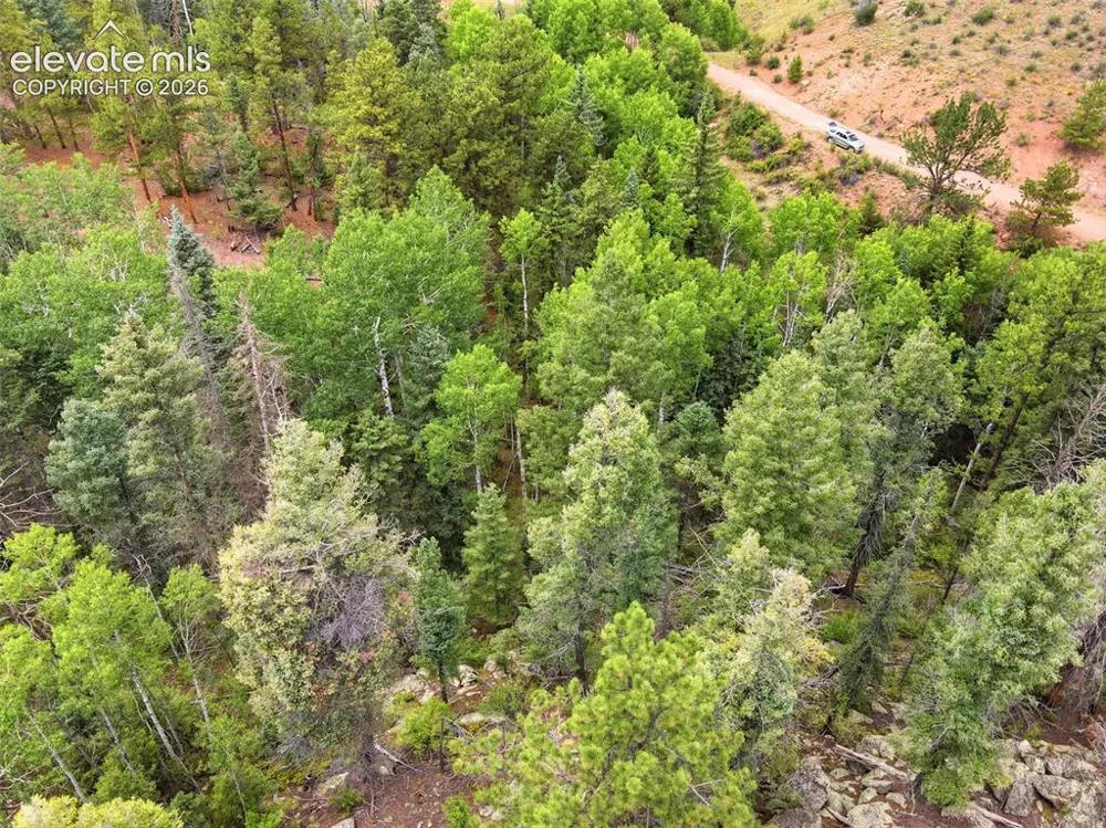 1310 Park Ridge Drive Guffey, CO 80820