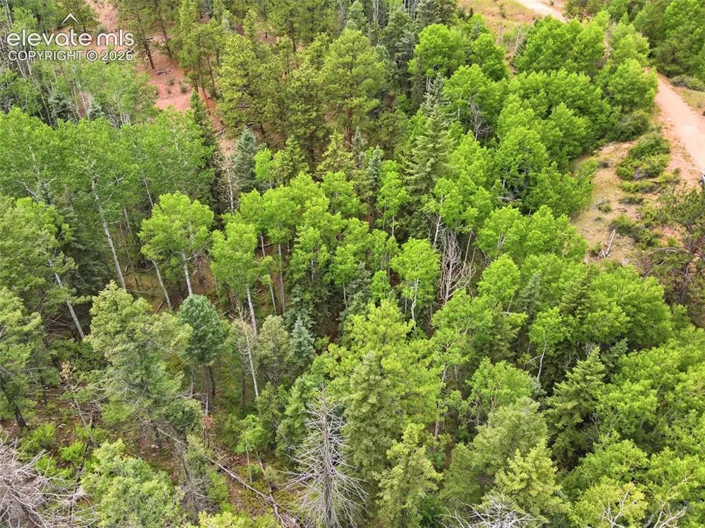 1310 Park Ridge Drive Guffey, CO 80820
