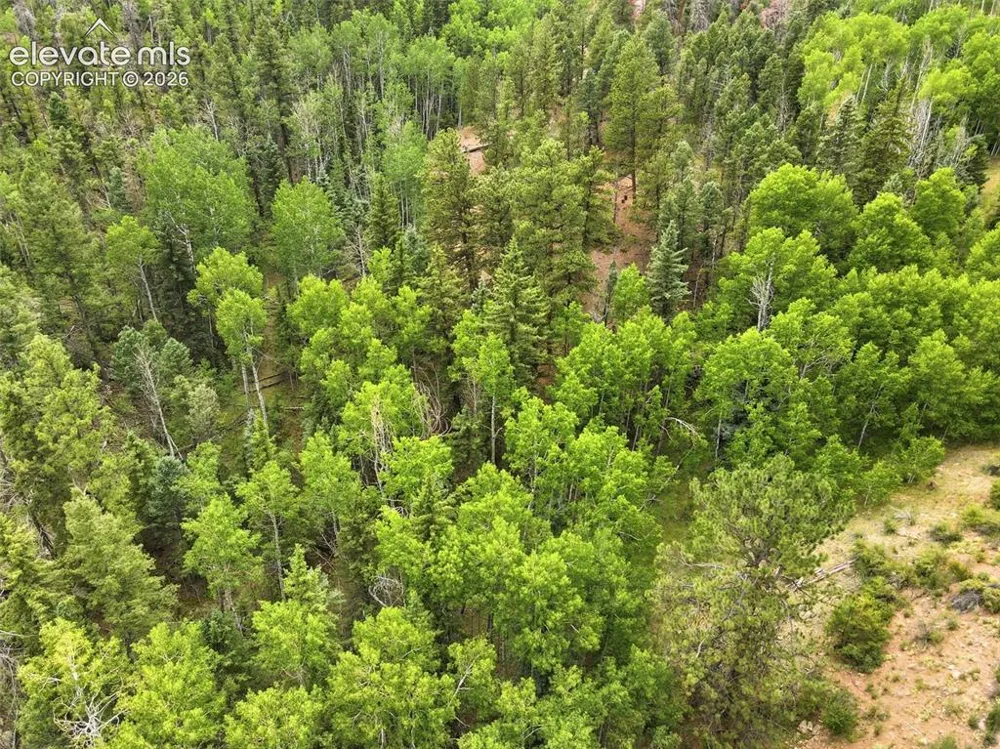 1310 Park Ridge Drive Guffey, CO 80820