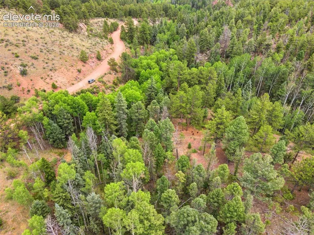 1310 Park Ridge Drive Guffey, CO 80820
