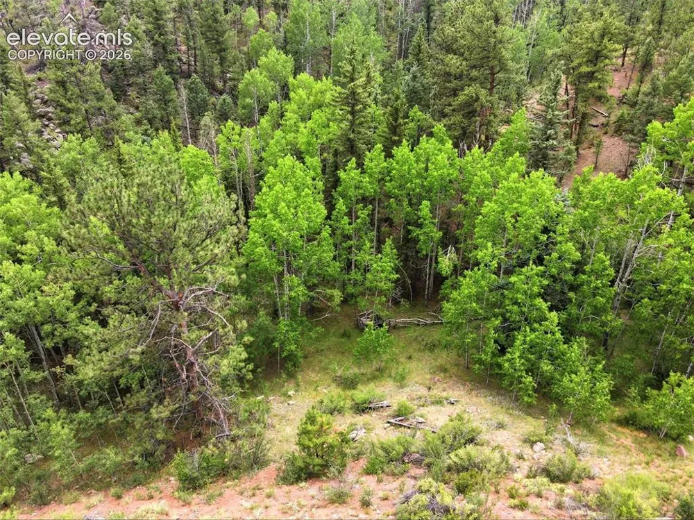1310 Park Ridge Drive Guffey, CO 80820