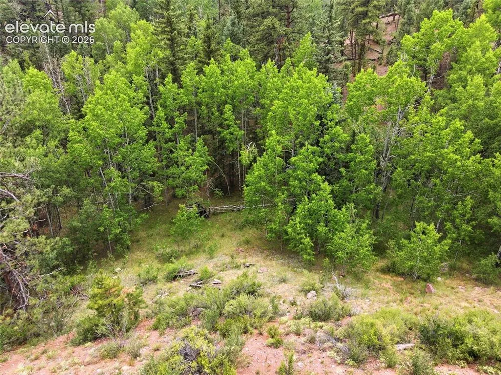 1310 Park Ridge Drive Guffey, CO 80820