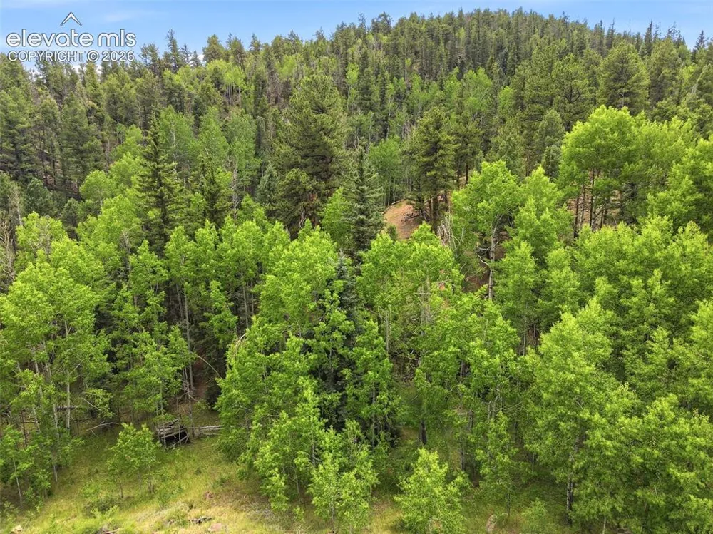 1310 Park Ridge Drive Guffey, CO 80820