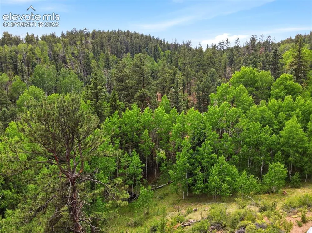 1310 Park Ridge Drive Guffey, CO 80820