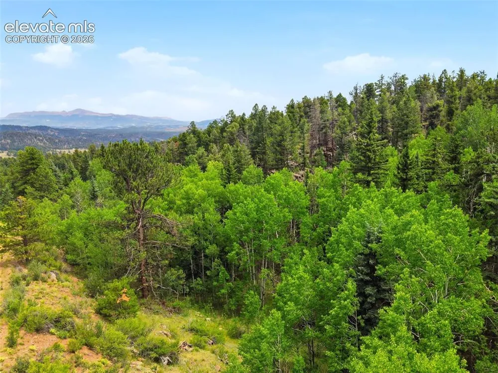 1310 Park Ridge Drive Guffey, CO 80820