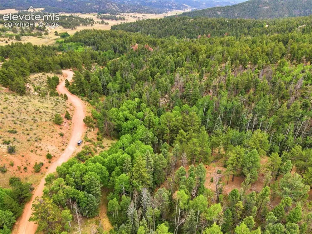 1310 Park Ridge Drive Guffey, CO 80820