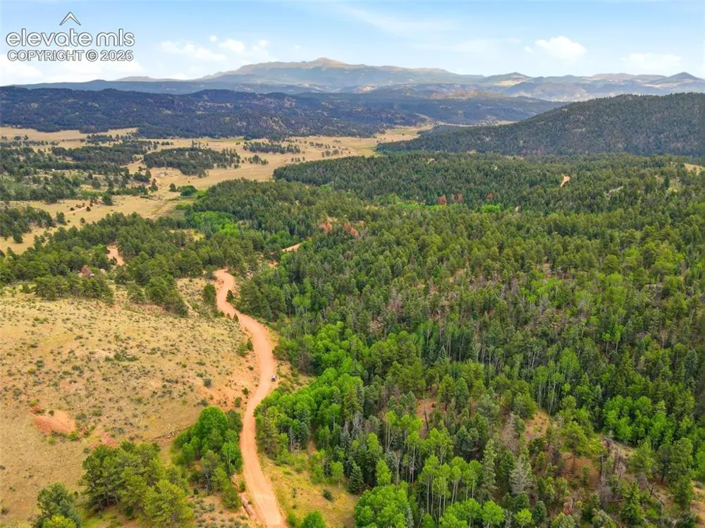 1310 Park Ridge Drive Guffey, CO 80820