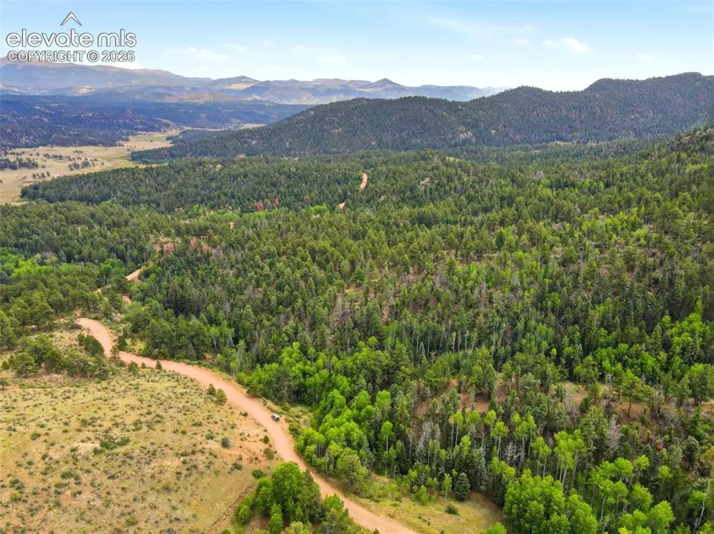 1310 Park Ridge Drive Guffey, CO 80820