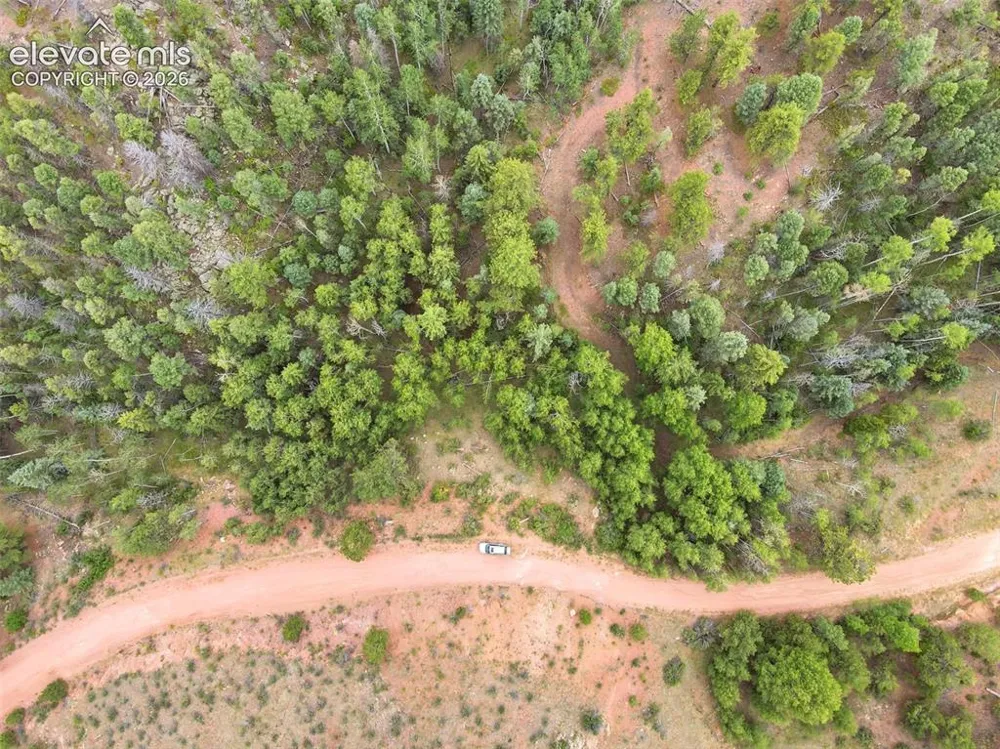 1310 Park Ridge Drive Guffey, CO 80820