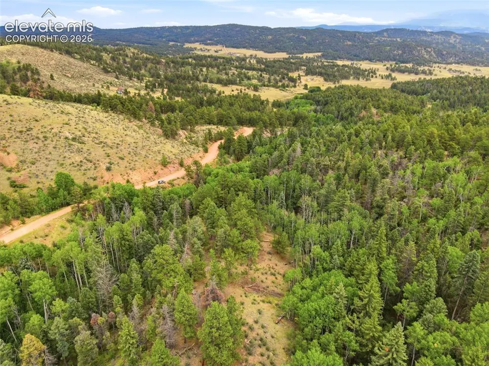 1310 Park Ridge Drive Guffey, CO 80820