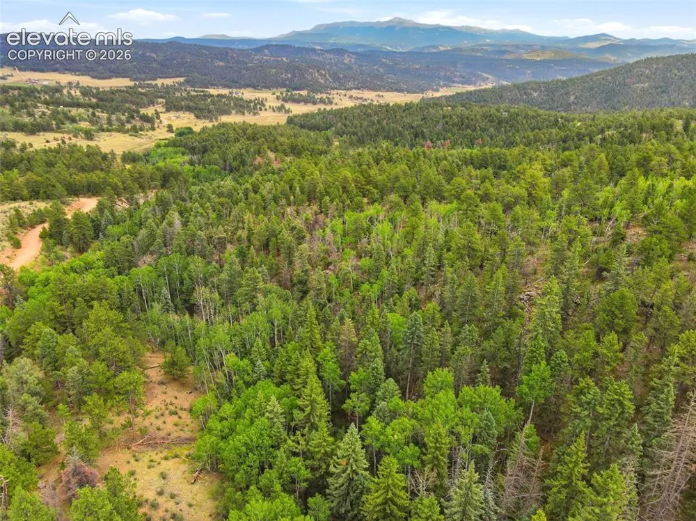 1310 Park Ridge Drive Guffey, CO 80820