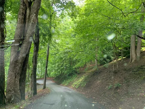 27 Lot Laurel Lane