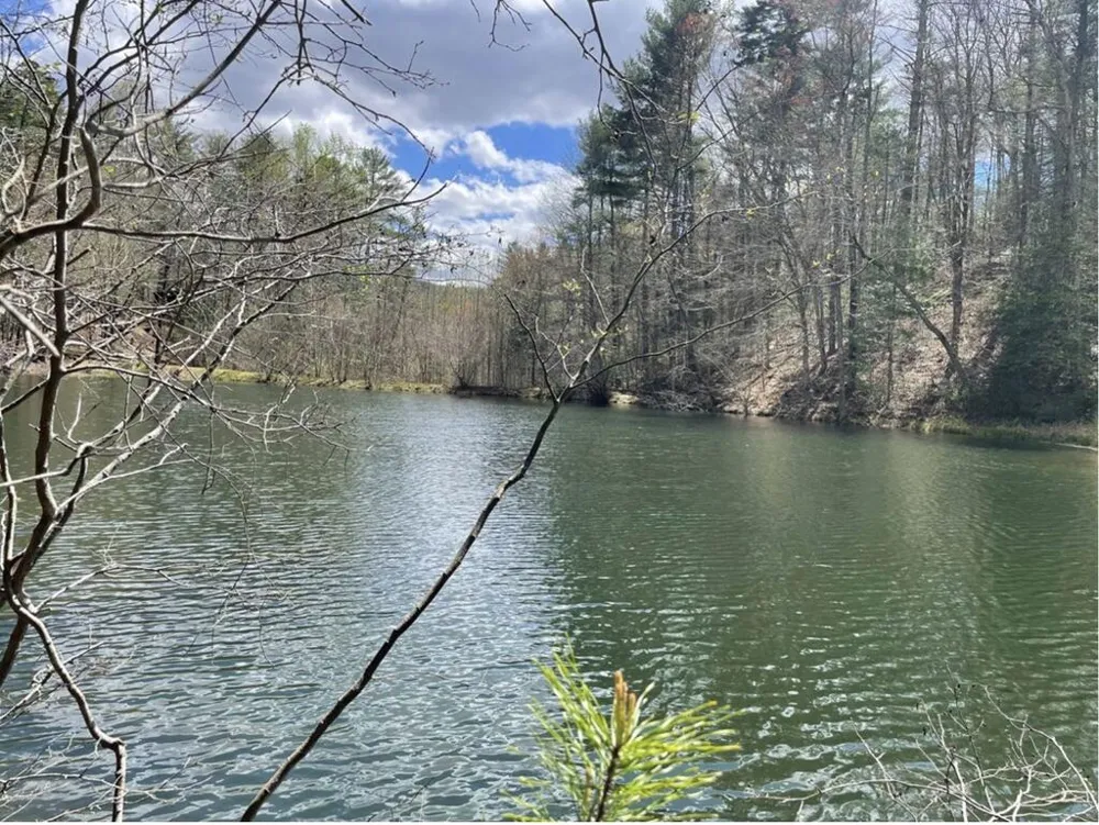 680 Hidden Lake Drive Cherry Log, GA 30522