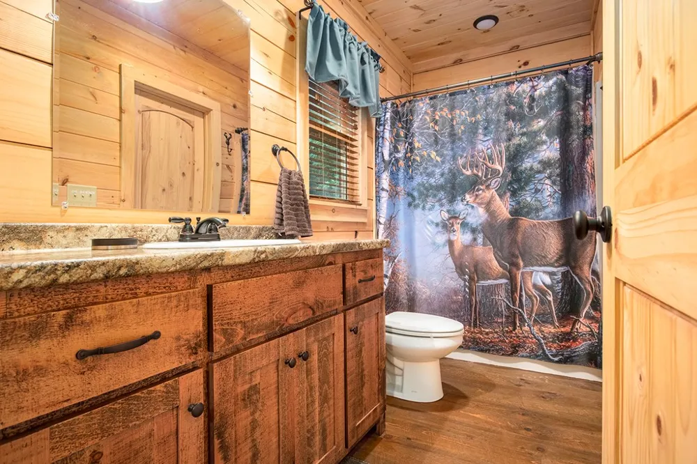 680 Hidden Lake Drive Cherry Log, GA 30522