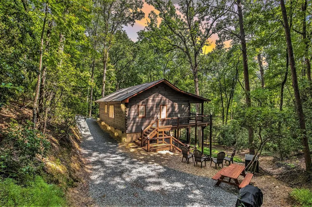 680 Hidden Lake Drive Cherry Log, GA 30522