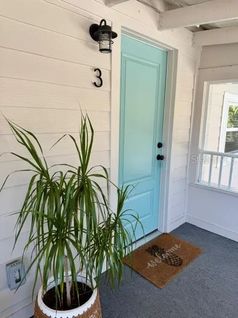 1357 LAKESHORE DRIVE #3 Mount Dora, FL 32757