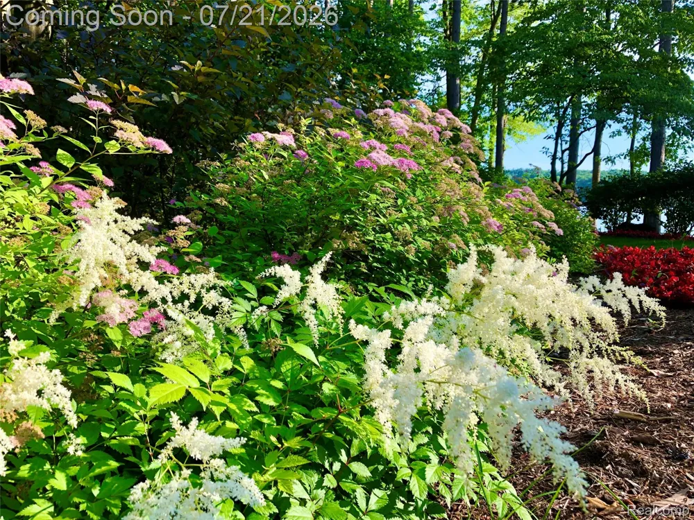 5621 Arbor Bay Court Genoa Township, MI 48116