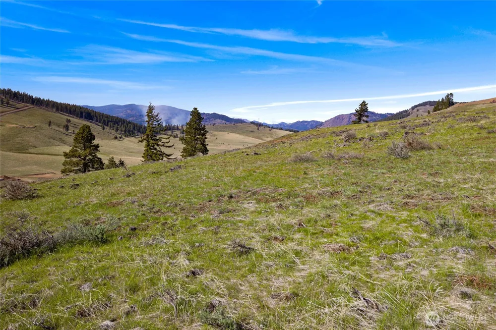 9 Lot Bettas Road Cle Elum, WA 98922