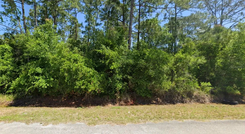 445 PERSHING AVENUE Lake Placid, FL 33852