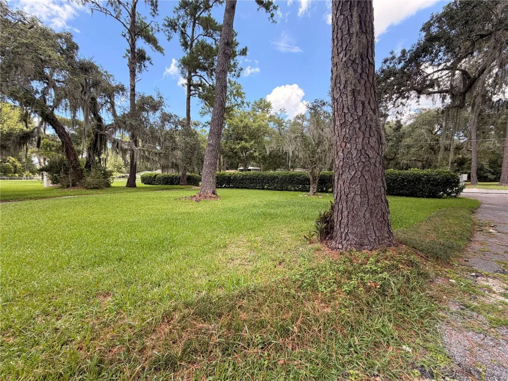 1940 ALICE DRIVE Astor, FL 32102