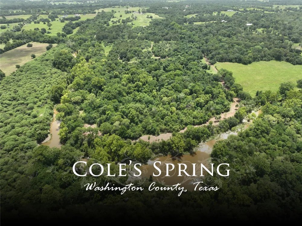 20525 Pickens Road Washington, TX 77880