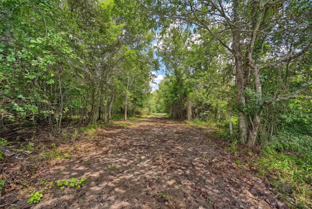 20525 Pickens Road Washington, TX 77880