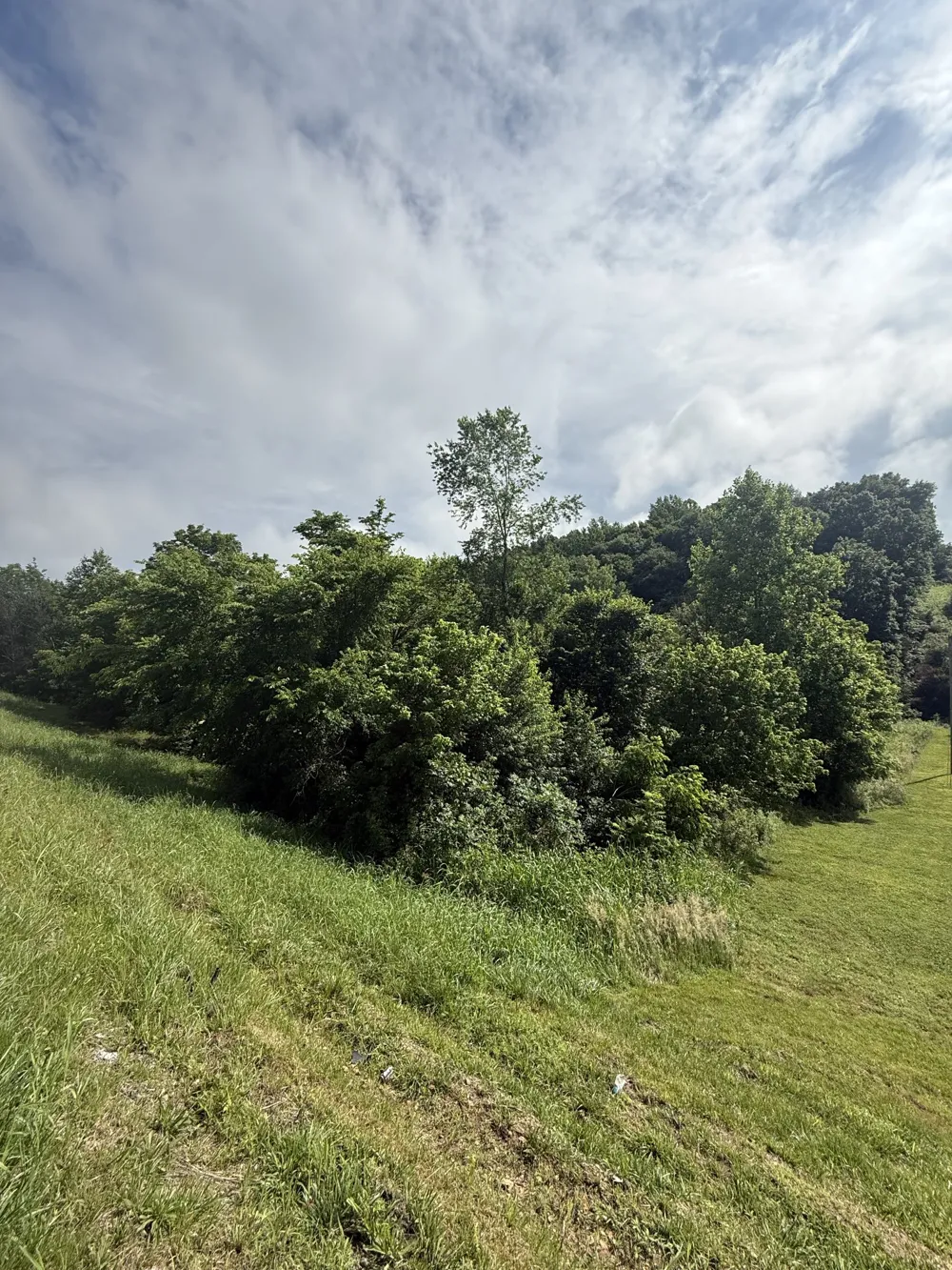0 Highway 31 E Westmoreland, TN 37186