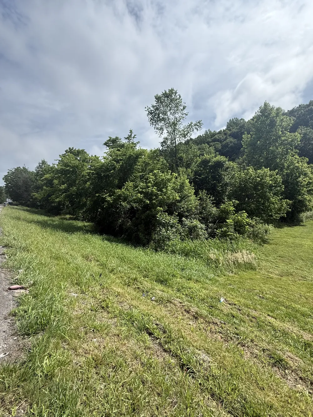 0 Highway 31 E Westmoreland, TN 37186