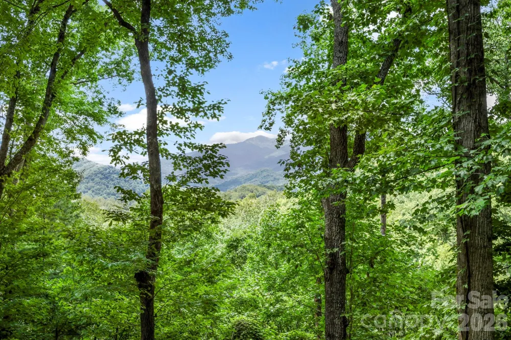 394 Hickory Drive Waynesville, NC 28786