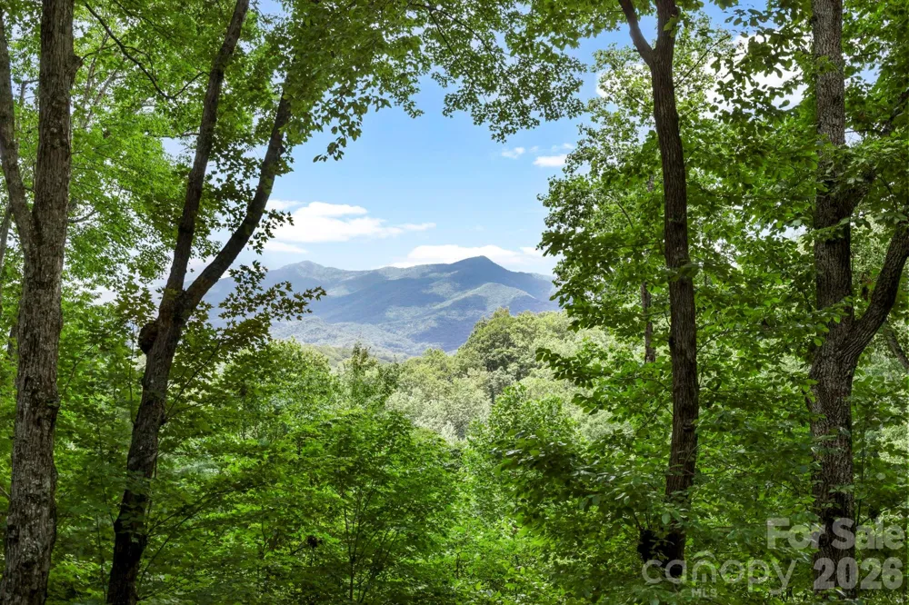 394 Hickory Drive Waynesville, NC 28786