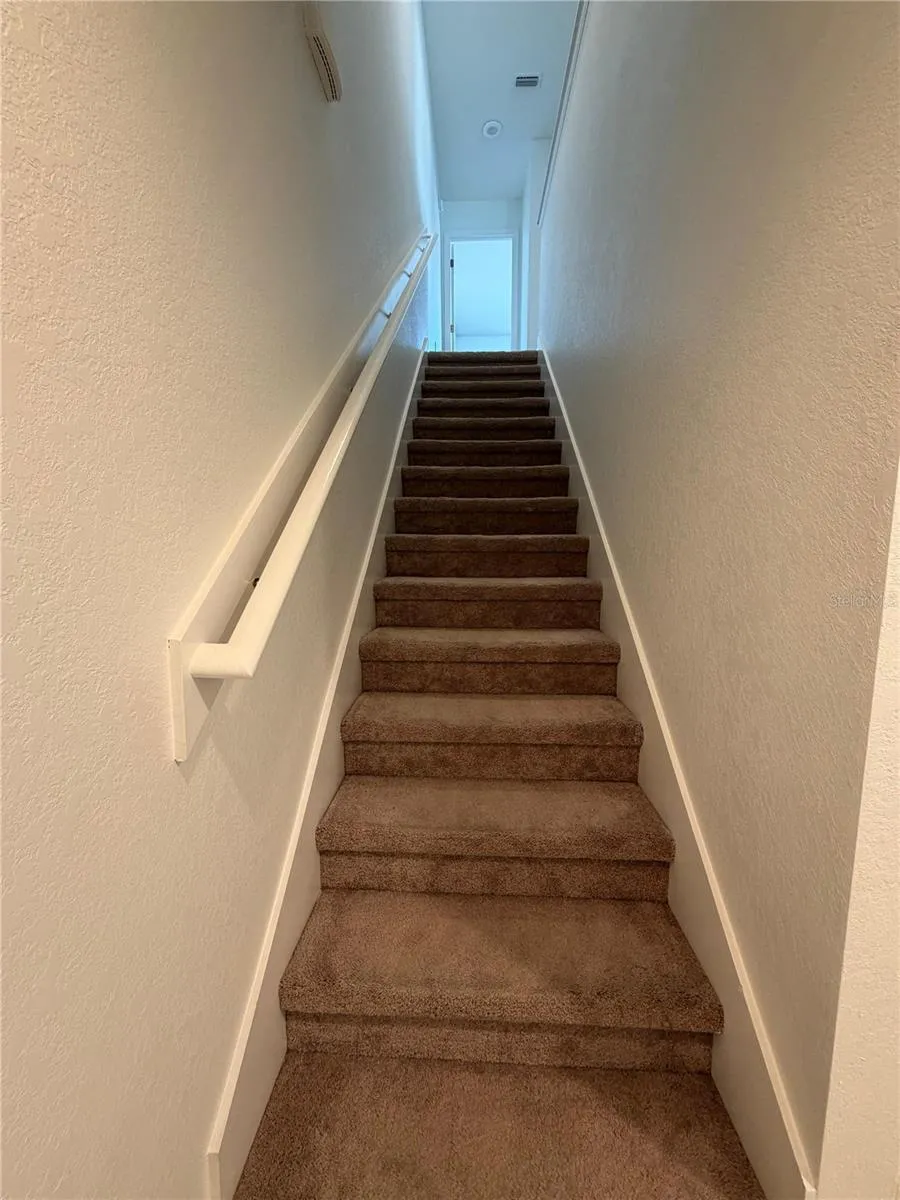5051 CACTUS NEEDLE LANE Wesley Chapel, FL 33544