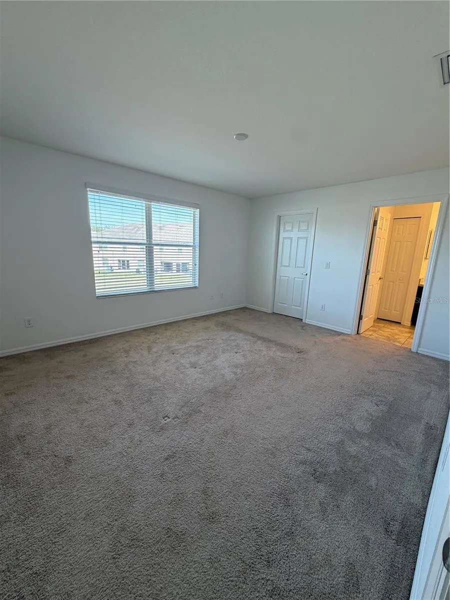 5051 CACTUS NEEDLE LANE Wesley Chapel, FL 33544