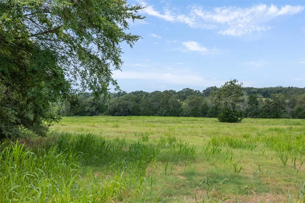 6944 County Road 132 Somerville, TX 77879