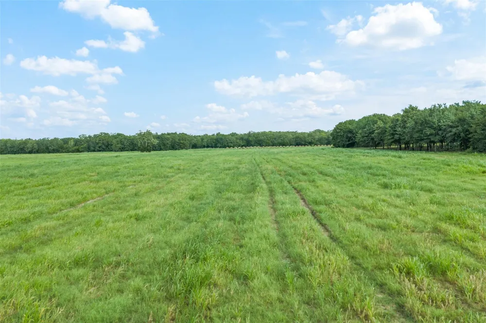 6944 County Road 132 Somerville, TX 77879