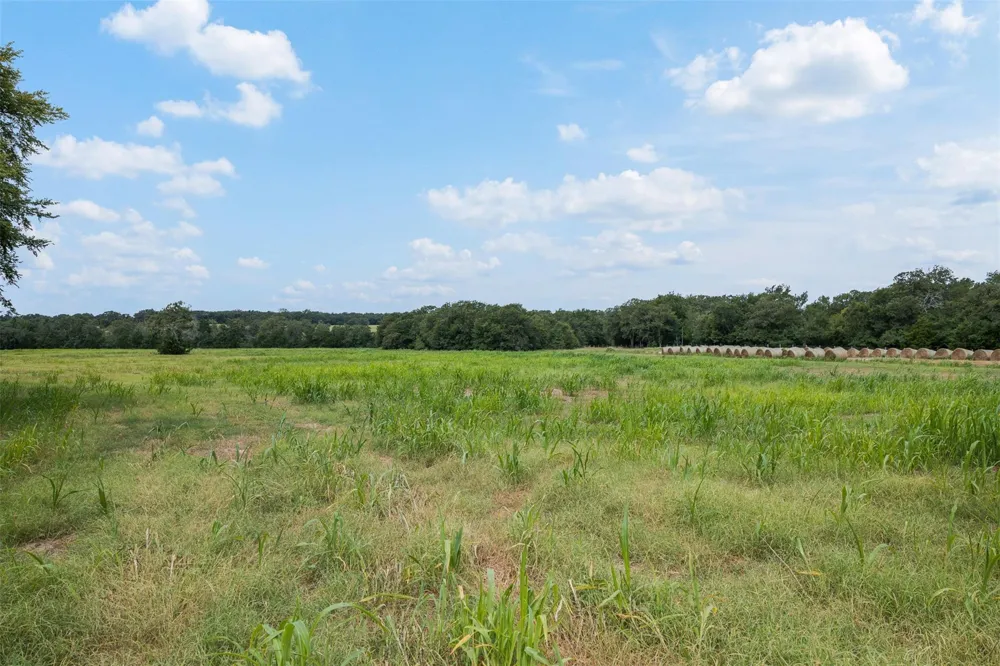 6944 County Road 132 Somerville, TX 77879