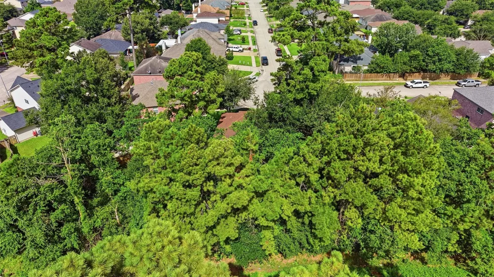 426 Mystic Glen Loop Kingwood, TX 77339