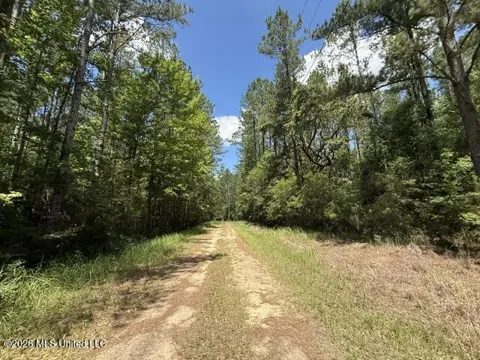 Elmer Hamilton Road Road