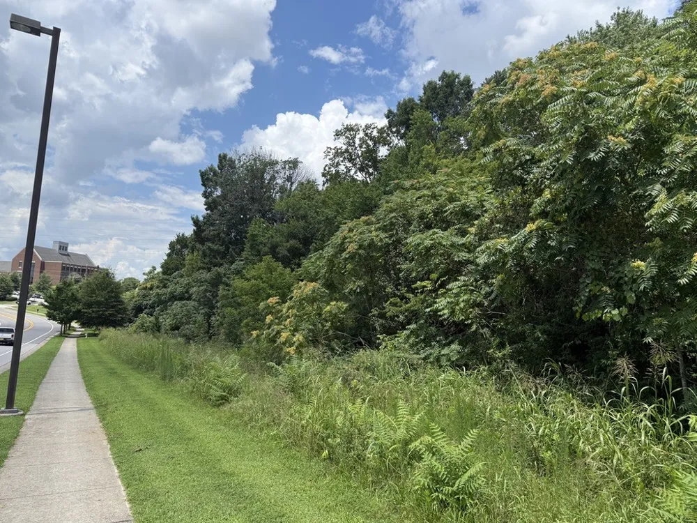 0 Liberty Pike Franklin, TN 37067