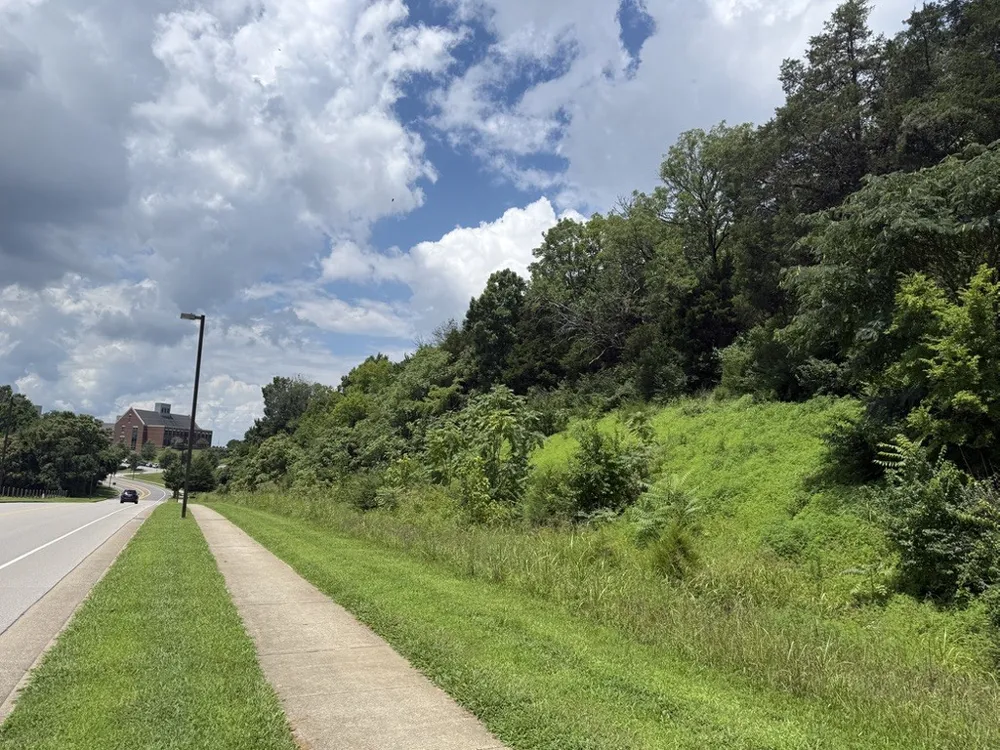 0 Liberty Pike Franklin, TN 37067