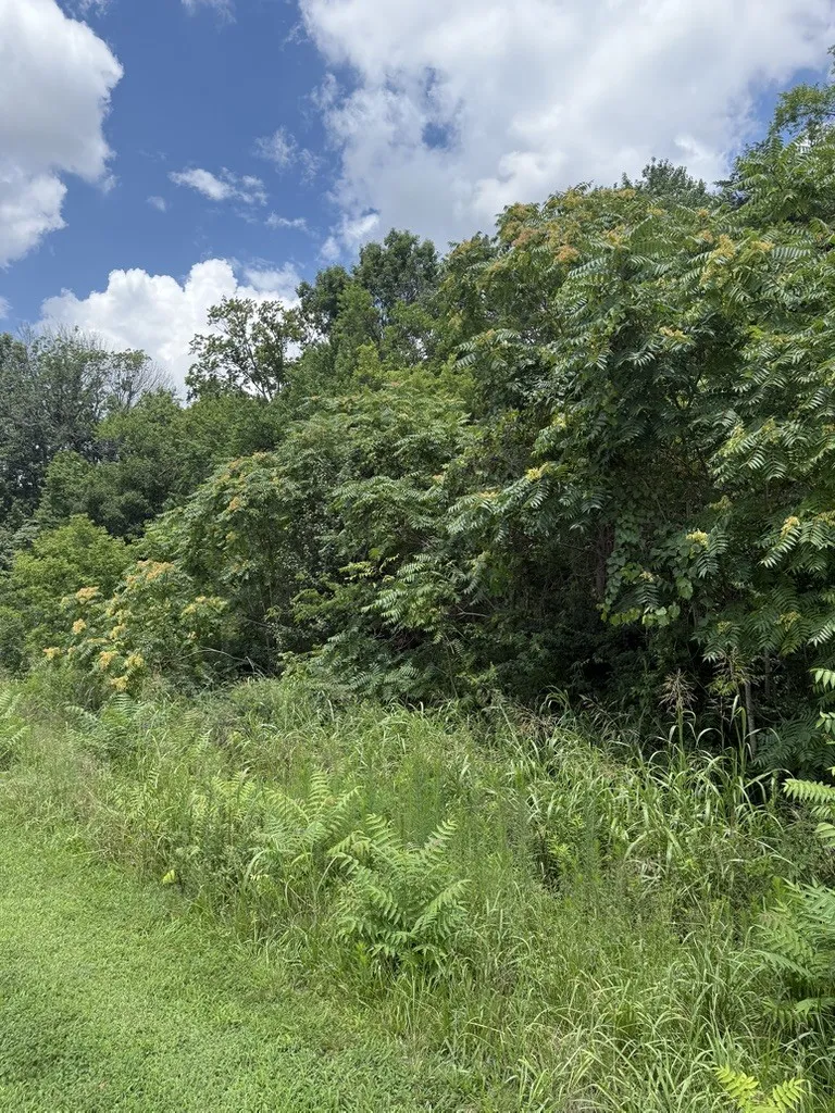 0 Liberty Pike Franklin, TN 37067