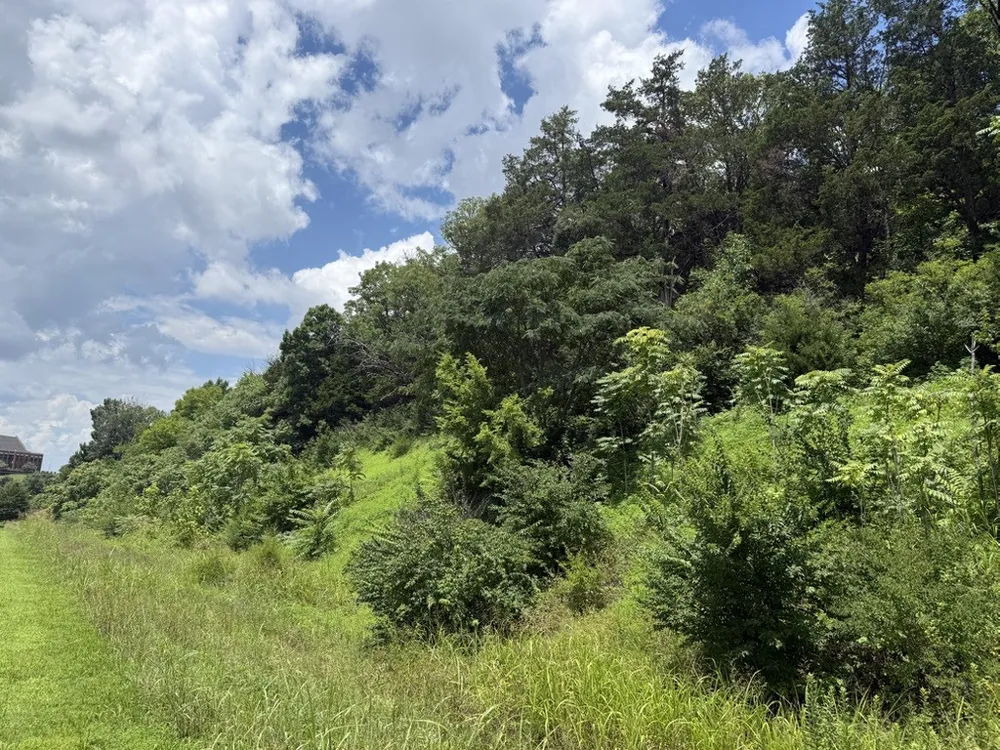 0 Liberty Pike Franklin, TN 37067