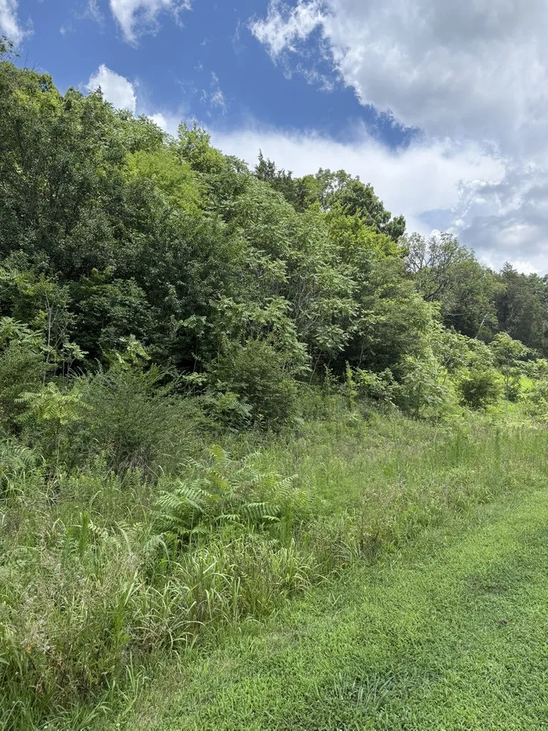 0 Liberty Pike Franklin, TN 37067