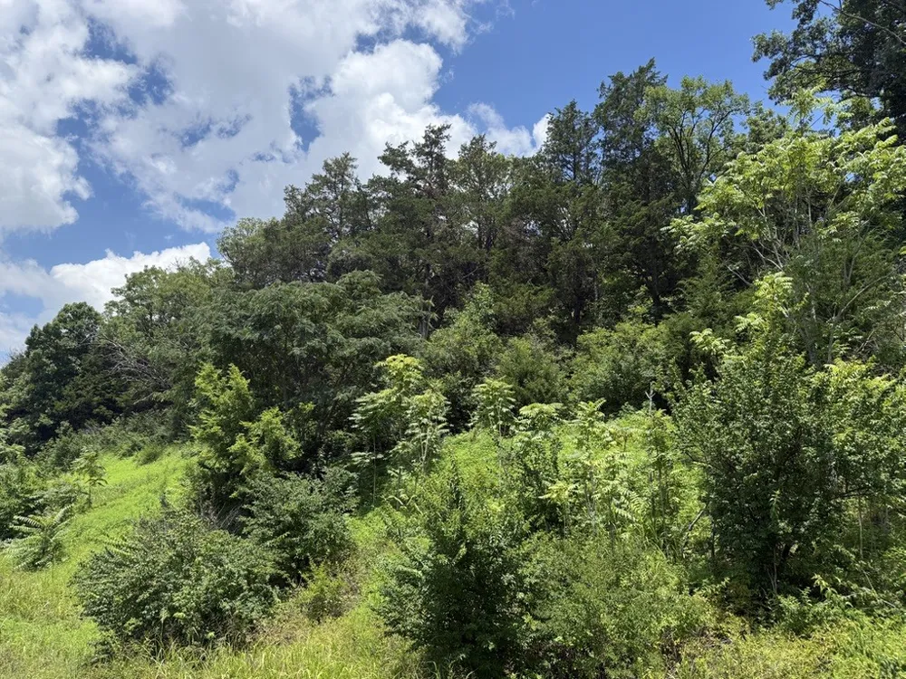 0 Liberty Pike Franklin, TN 37067