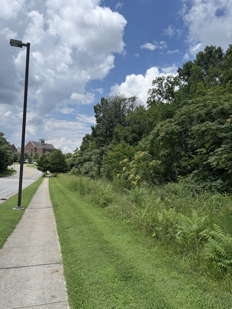 0 Liberty Pike Franklin, TN 37067