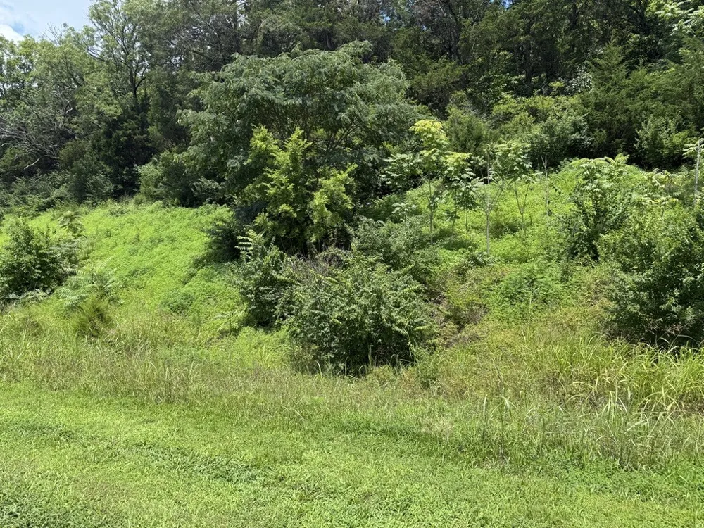 0 Liberty Pike Franklin, TN 37067