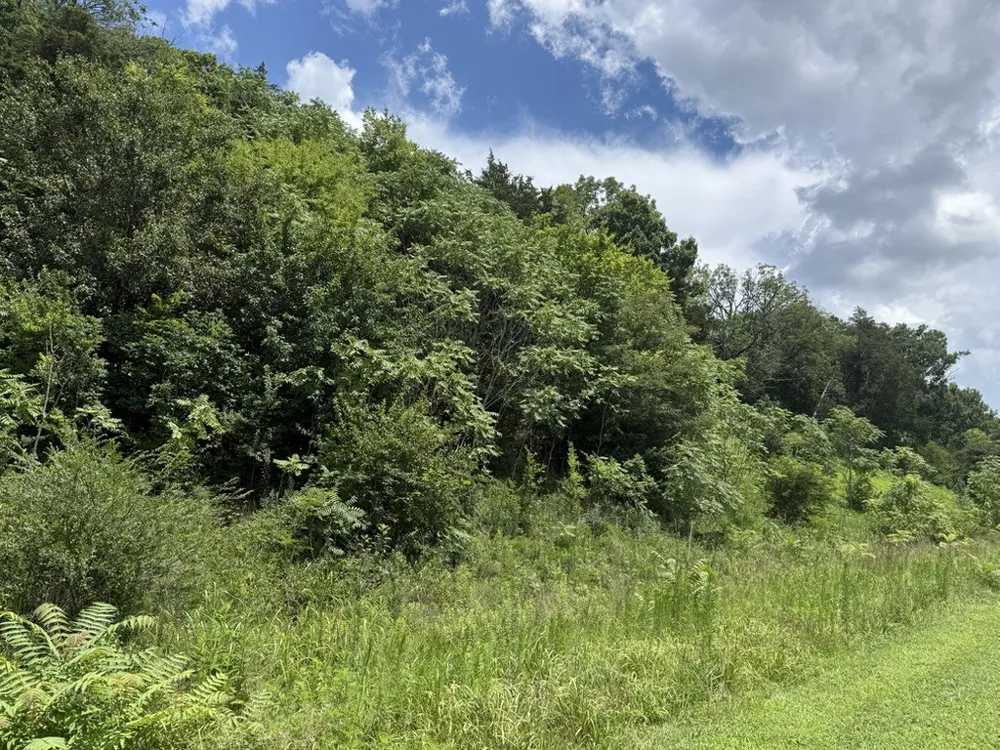 0 Liberty Pike Franklin, TN 37067