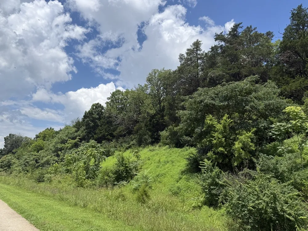 0 Liberty Pike Franklin, TN 37067