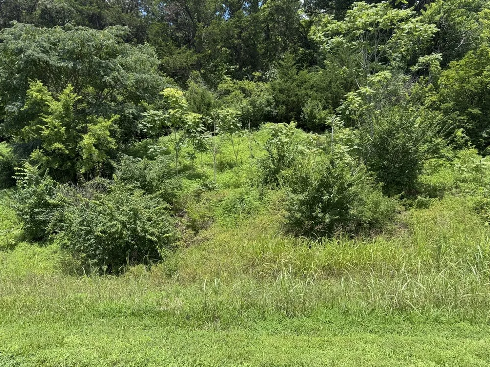 0 Liberty Pike Franklin, TN 37067